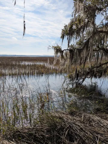 $650,000 | 5 D Archfield Avenue, Meggett, SC 29449