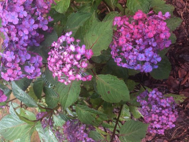 218 Hickory Hill Circle Osterville, MA 02655 - Photo 30 of 30