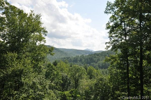 569 Pine Forest Road, Unit 9 Sapphire, NC 28774 - Photo 2 of 18 Gallery Image 2