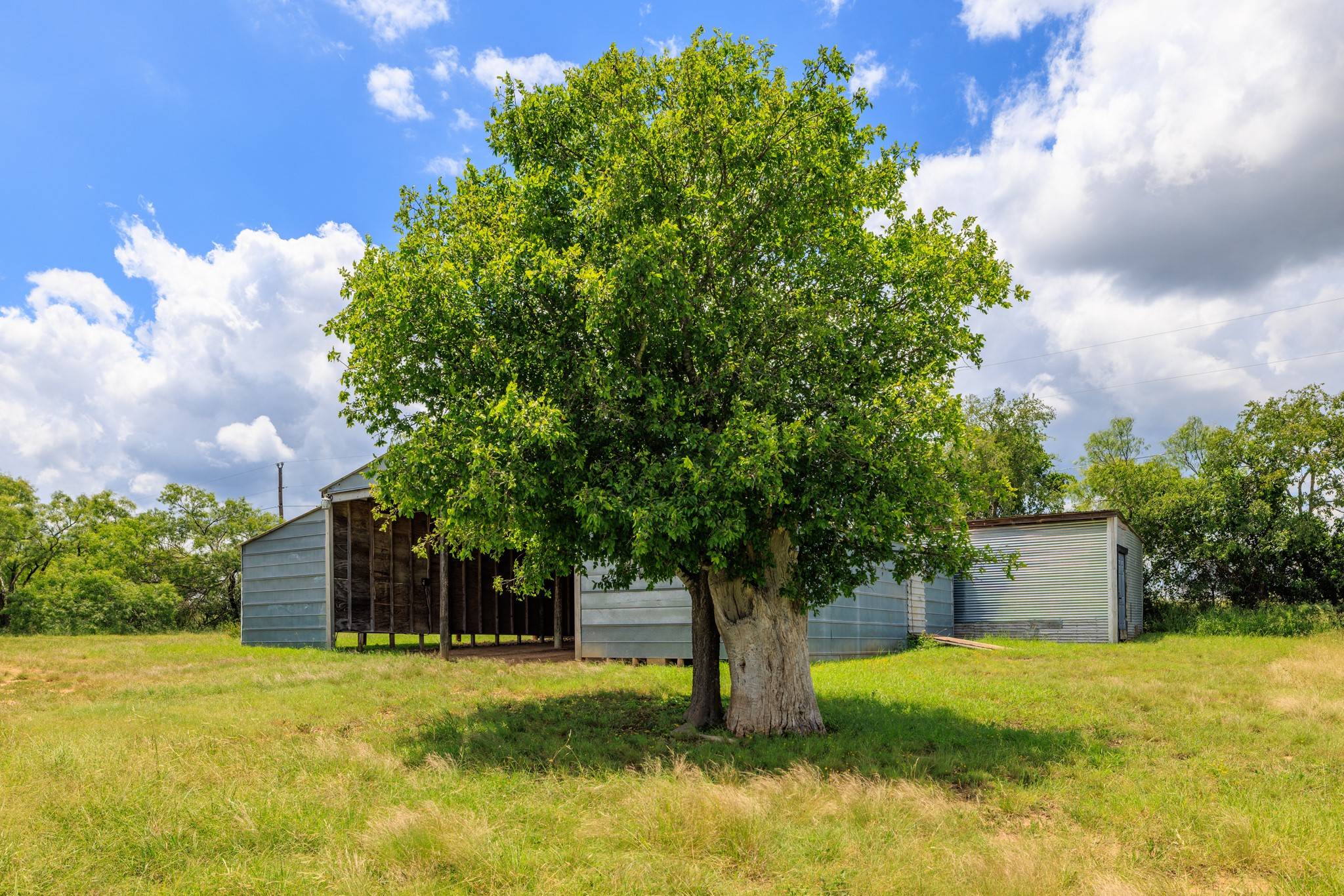 341 River View Road Fredericksburg, TX 78624 - Photo 30 of 40 Mature trees shade the open-sided metal outbuildings on this expansive rural property.