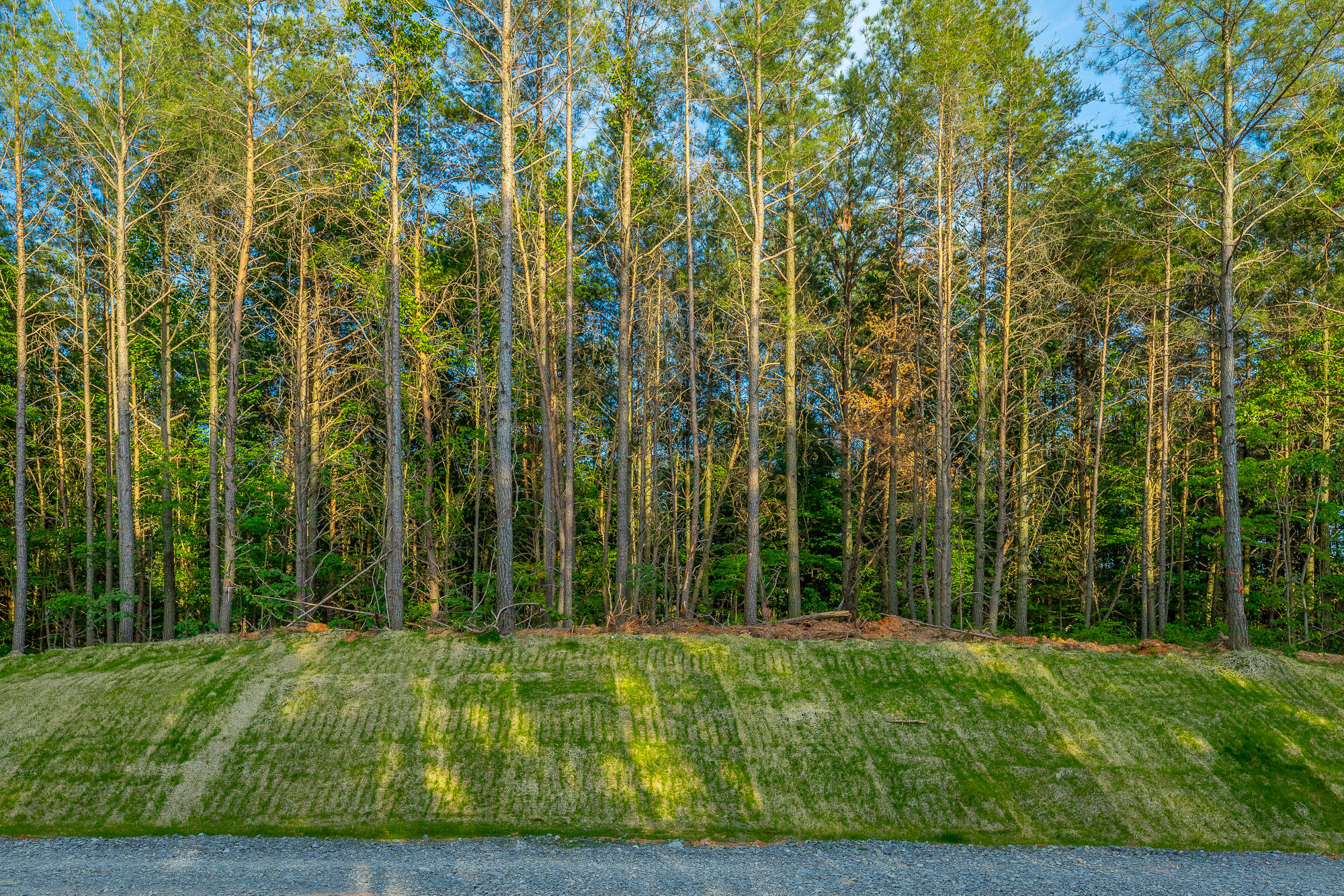 0 Cannon Way, Unit LOT 1317 Guild, TN 37340 - Photo 7 of 99 0 Cannon Way - Lot 1317 HD-51