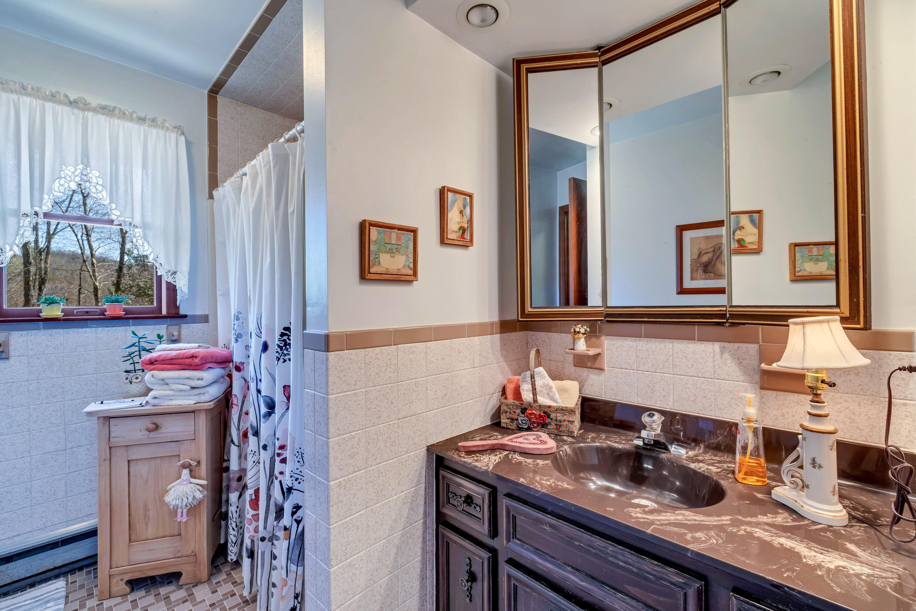 1134 Scotrun Drive Scotrun, PA 18355 - Photo 21 of 34 28-Photo-28