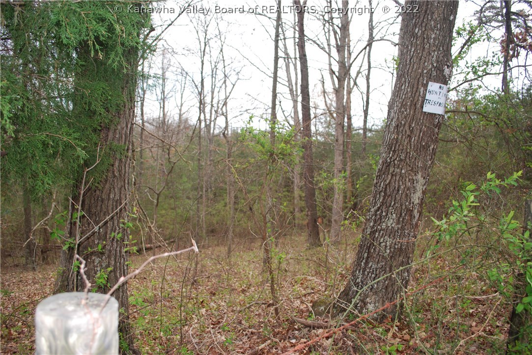 0 Mount Olive Road Milton, WV 25541 - Photo 11 of 17 Gallery Image 11