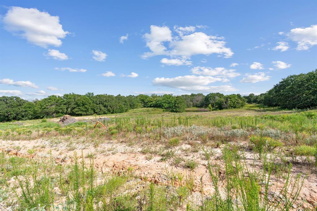 Lot 36 Kilkenny Road Poolville, TX 76487 - Photo 7 of 16