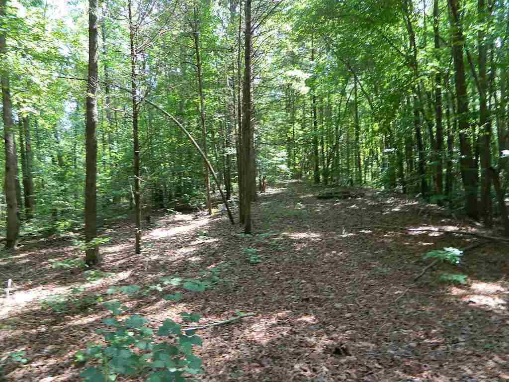 0 Holly Hayes Road Lexington, TN 38351 - Photo 1 of 8 Photo 1