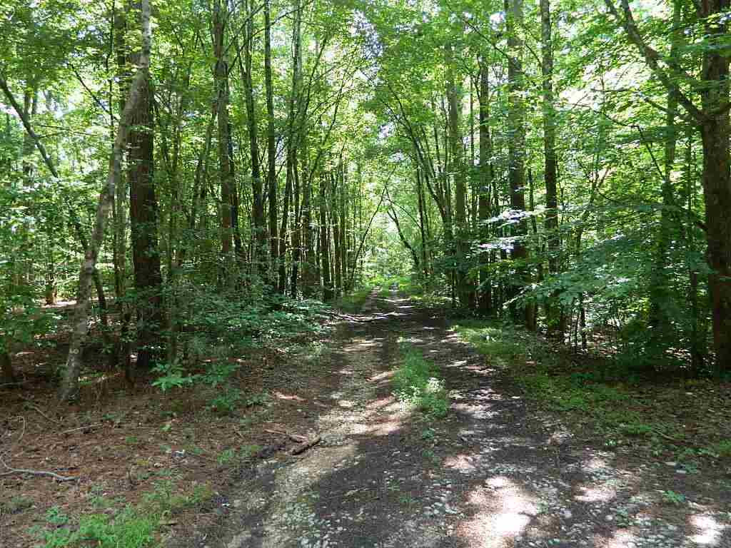 0 Holly Hayes Road Lexington, TN 38351 - Photo 3 of 8 Photo 3