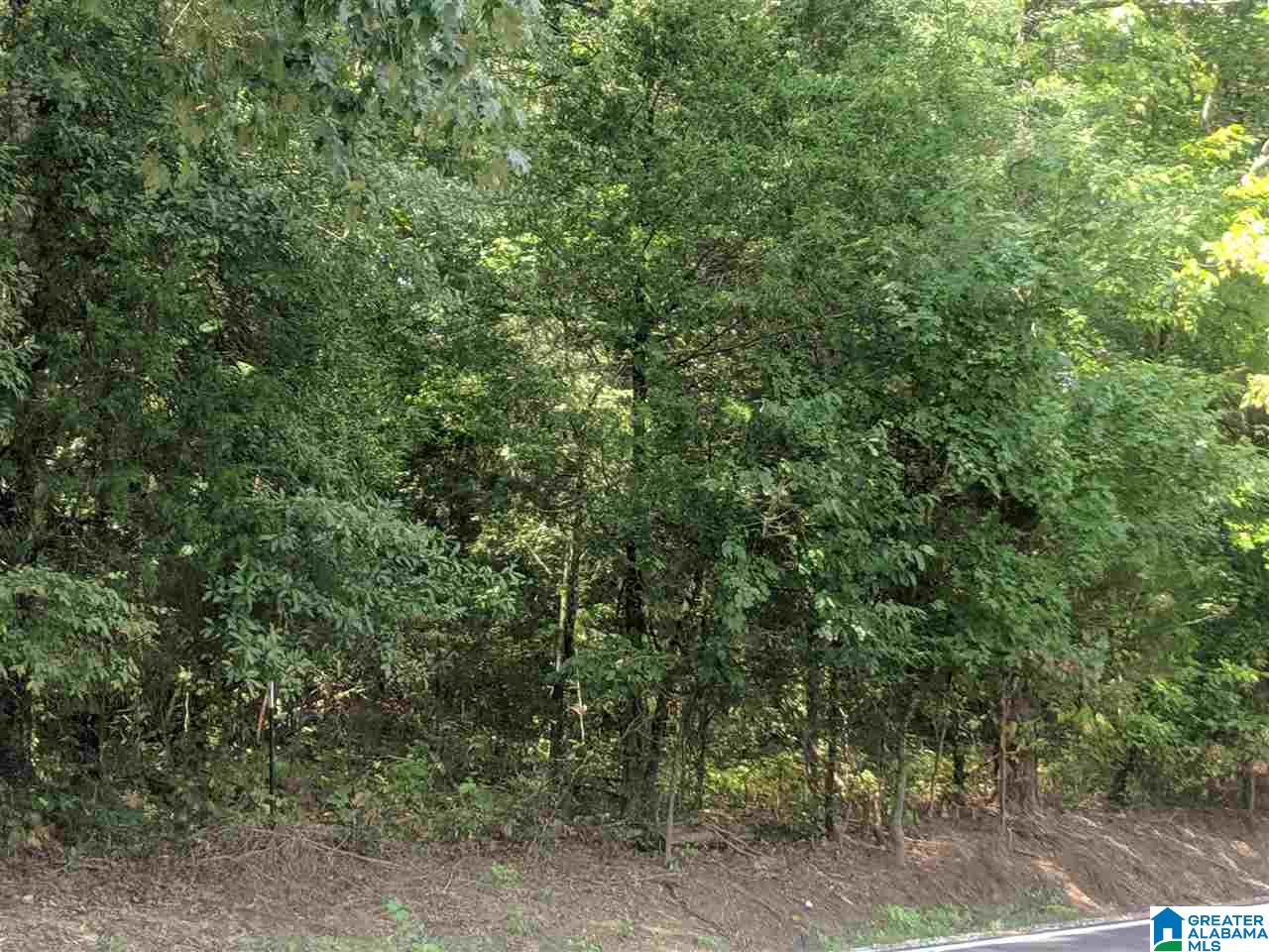 0 Old Broadwell Mill Road Jacksonville, AL 36265 - Photo 19 of 22