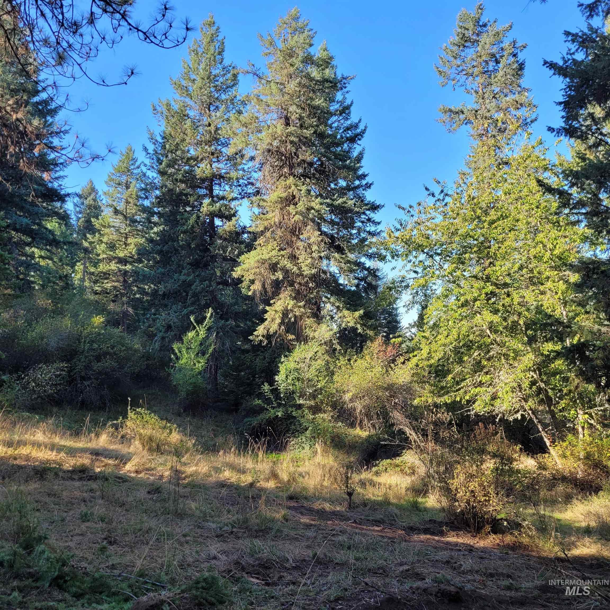 Parcel A Elk City Wagon Road Stites, ID 83552 - Photo 7 of 10