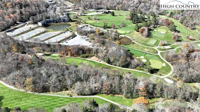 a view of a yard with large trees
