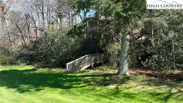 a view of a backyard with large trees