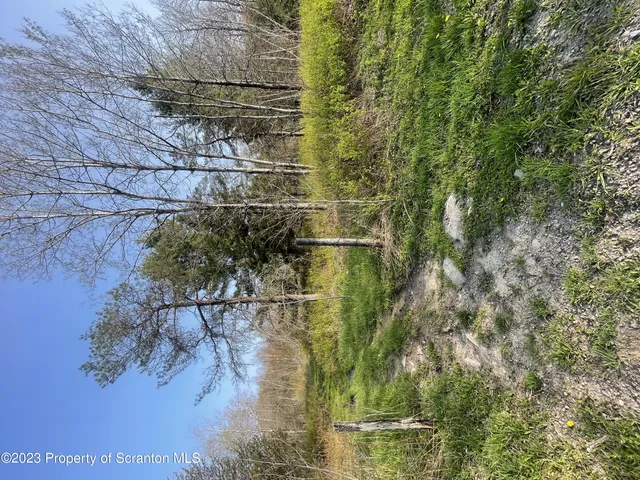 $200,000 | Burnwood Dead End Rd Union Dale Pa, Thompson, PA 18465