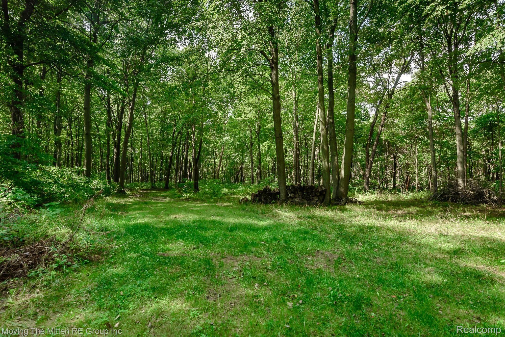 12956 Rawsonville Road Belleville, MI 48111 - Photo 54 of 67 62.jpg