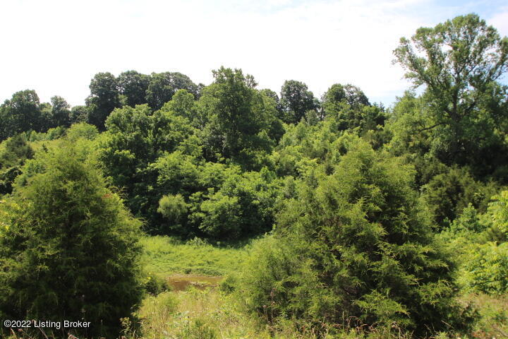 13240 Georgetown Road Owenton, KY 40359 - Photo 14 of 16 IMG_6807