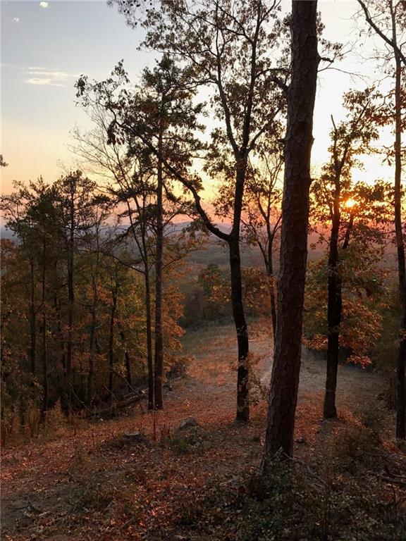 200 Ridgeview Trail Calhoun, GA 30701 - Photo 11 of 12 a view of a forest filled with trees