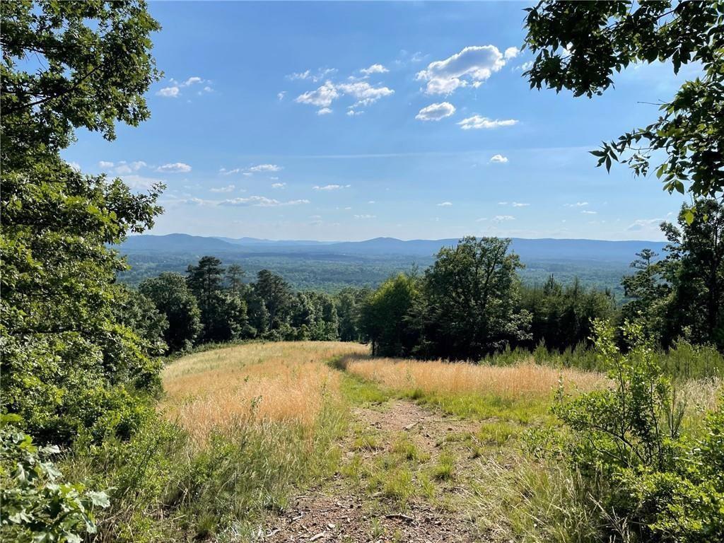 200 Ridgeview Trail Calhoun, GA 30701 - Photo 3 of 12 a view of backyard with swimming pool