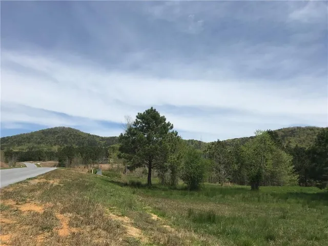 a view of a field with a tree in the background