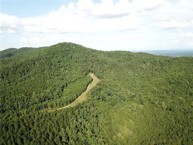 a view of a green field with lots of bushes