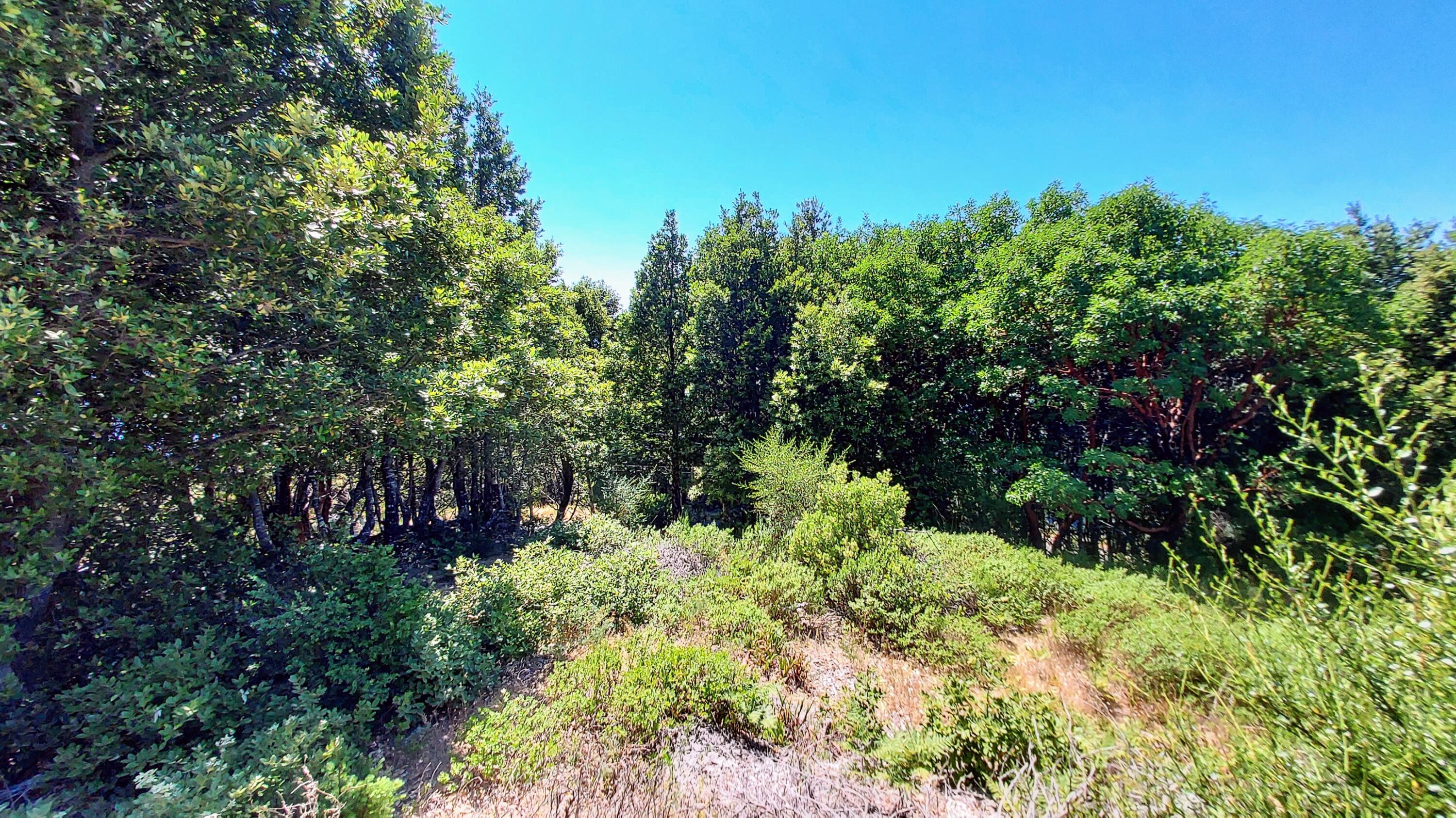 27 Cook Road Shelter Cove, CA 95589 - Photo 2 of 22