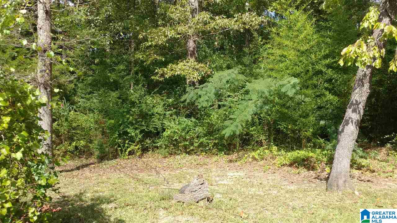 1101 Rhodes Street Anniston, AL 36206 - Photo 37 of 43