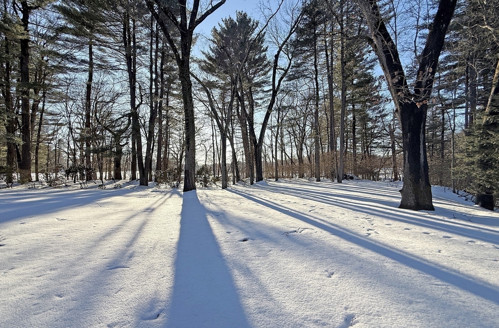 74 Prynne Ridge Road Longmeadow, MA 01106 - Photo 7 of 42