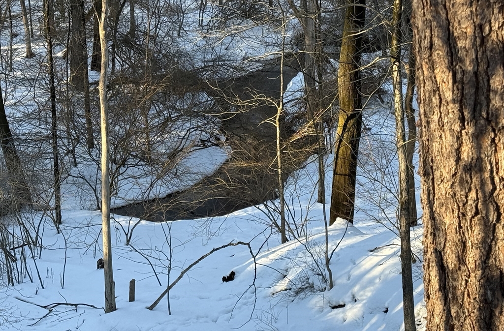 74 Prynne Ridge Road Longmeadow, MA 01106 - Photo 8 of 42