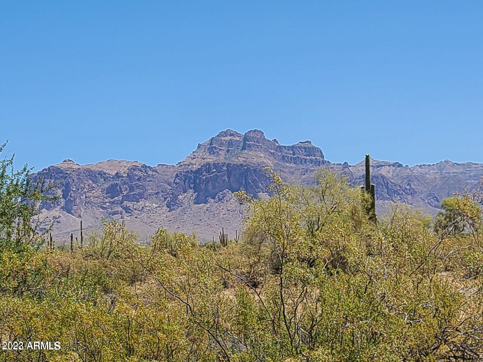 1440 North Idaho Road, Unit 2092 Apache Junction, AZ 85119 - Photo 15 of 17 20220526055725884796000000-o