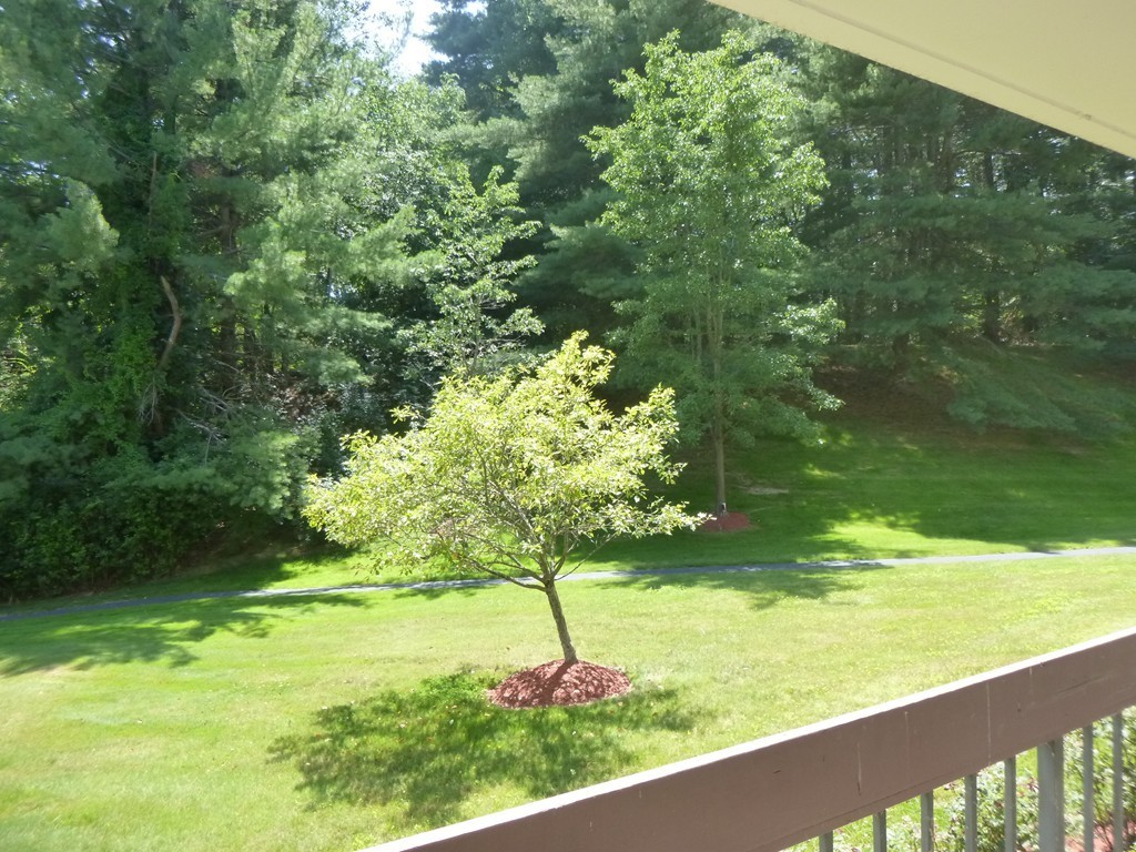 1550 Worcester Road, Unit 101 Framingham, MA 01702 - Photo 7 of 11