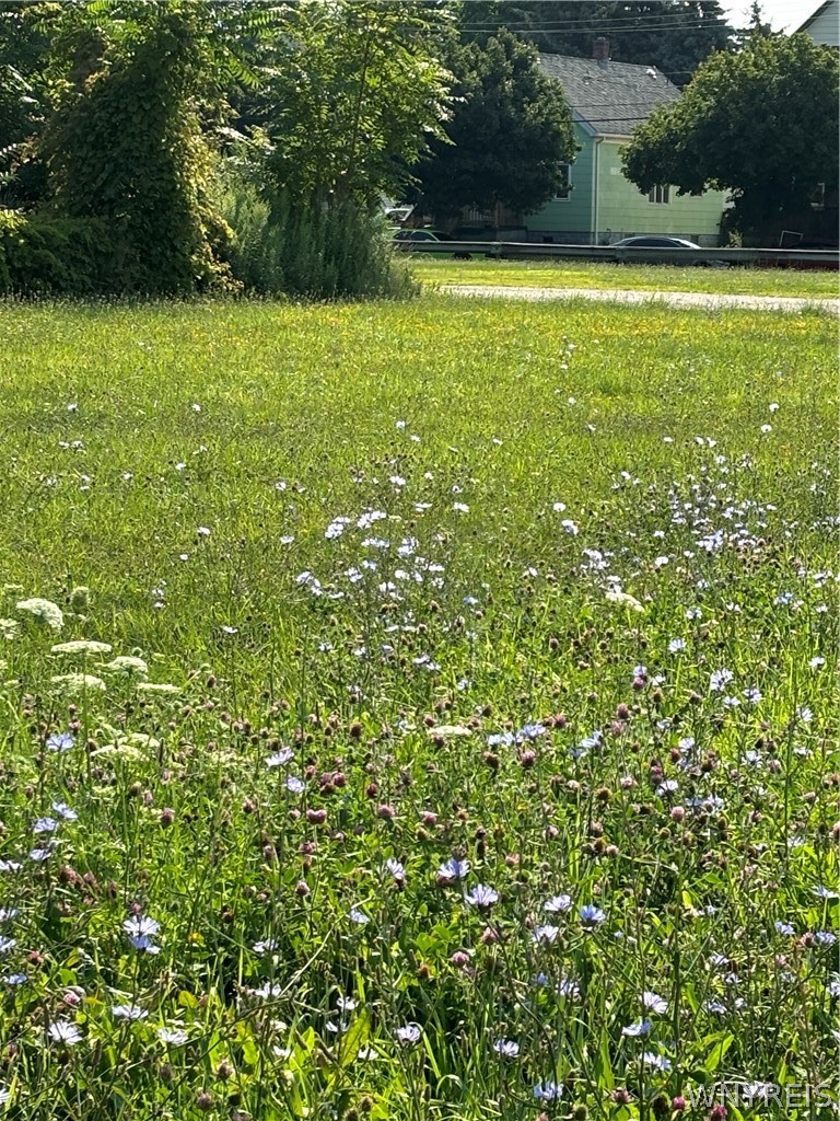 43 Baitz Avenue Buffalo, NY 14206 - Photo 4 of 6