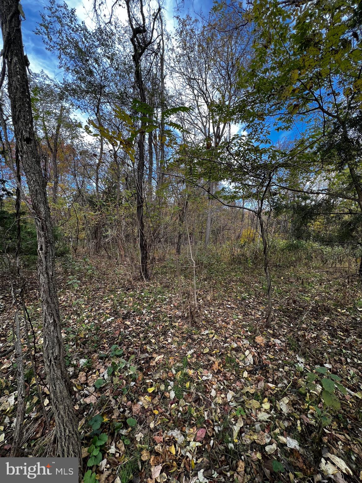 Lot 124 Poplar Road Front Royal, VA 22630 - Photo 1 of 4 Gallery Image 1