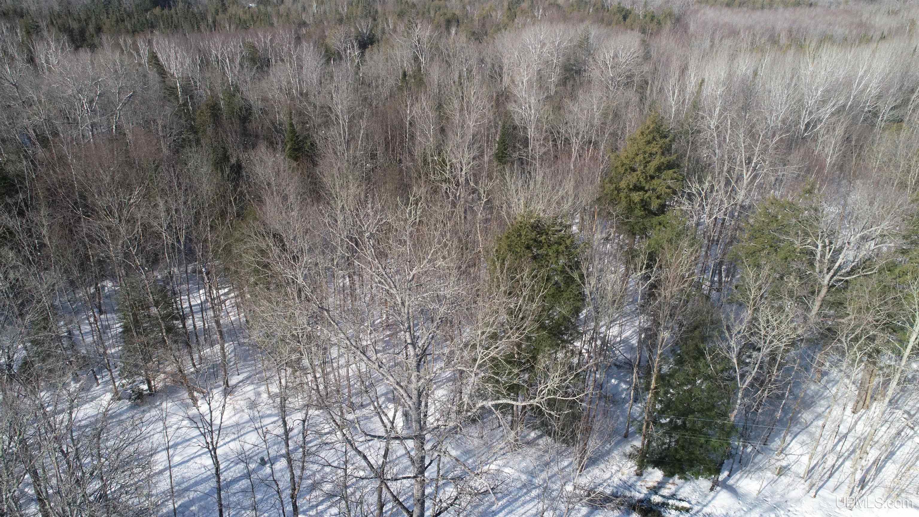 Tbd Tbd Long Point Road Curtis, MI 49820 - Photo 8 of 77