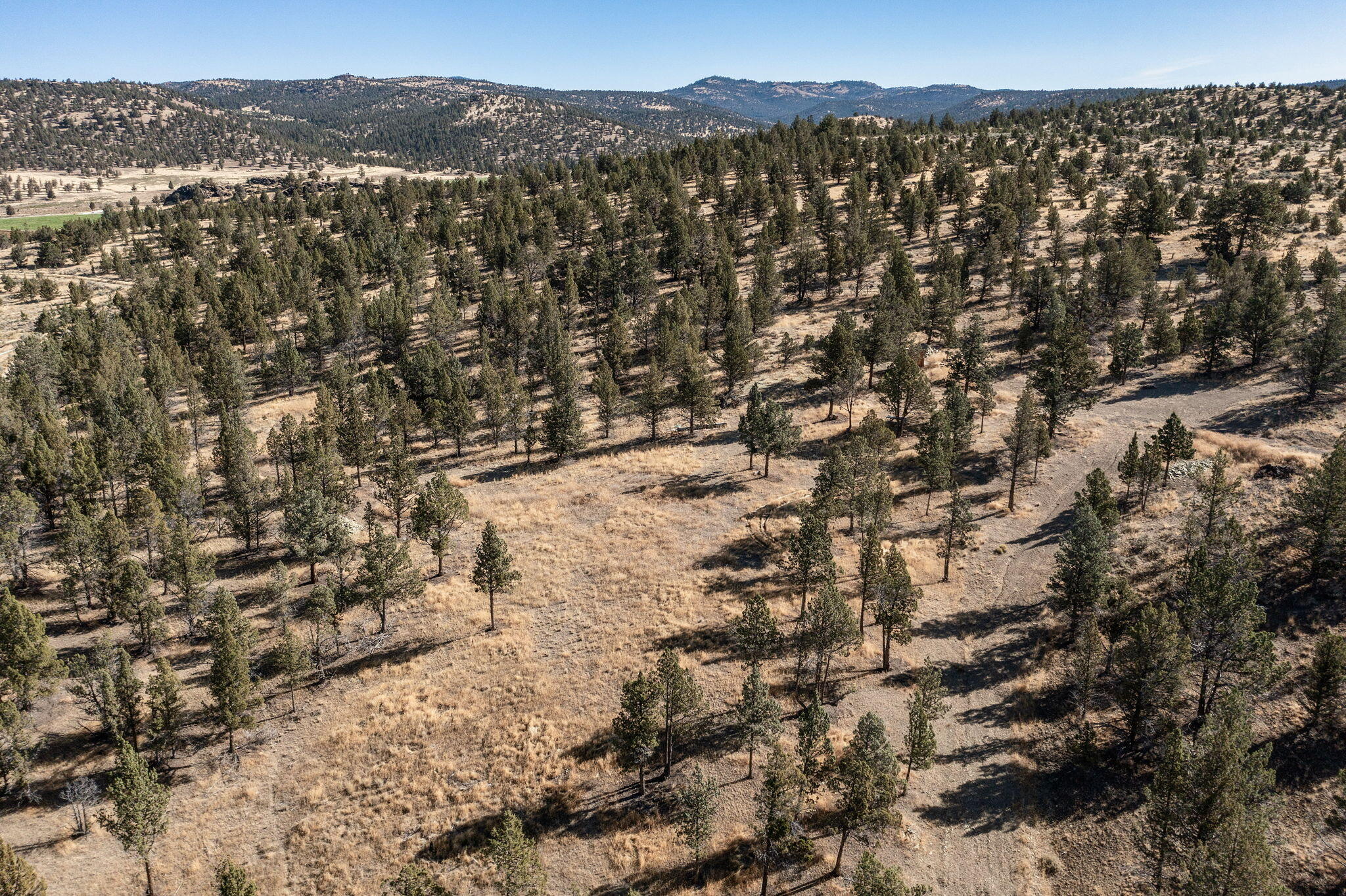 5598 North Mckay Road Prineville, OR 97754 - Photo 27 of 81 IMG_5849