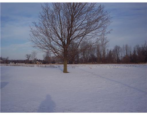 4858 Hack Road Saline, MI 48176 - Photo 21 of 24 Photo 21