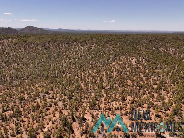 Tbd Tbd Little Arrow Road Grants, NM 87020 - Photo 39 of 69
