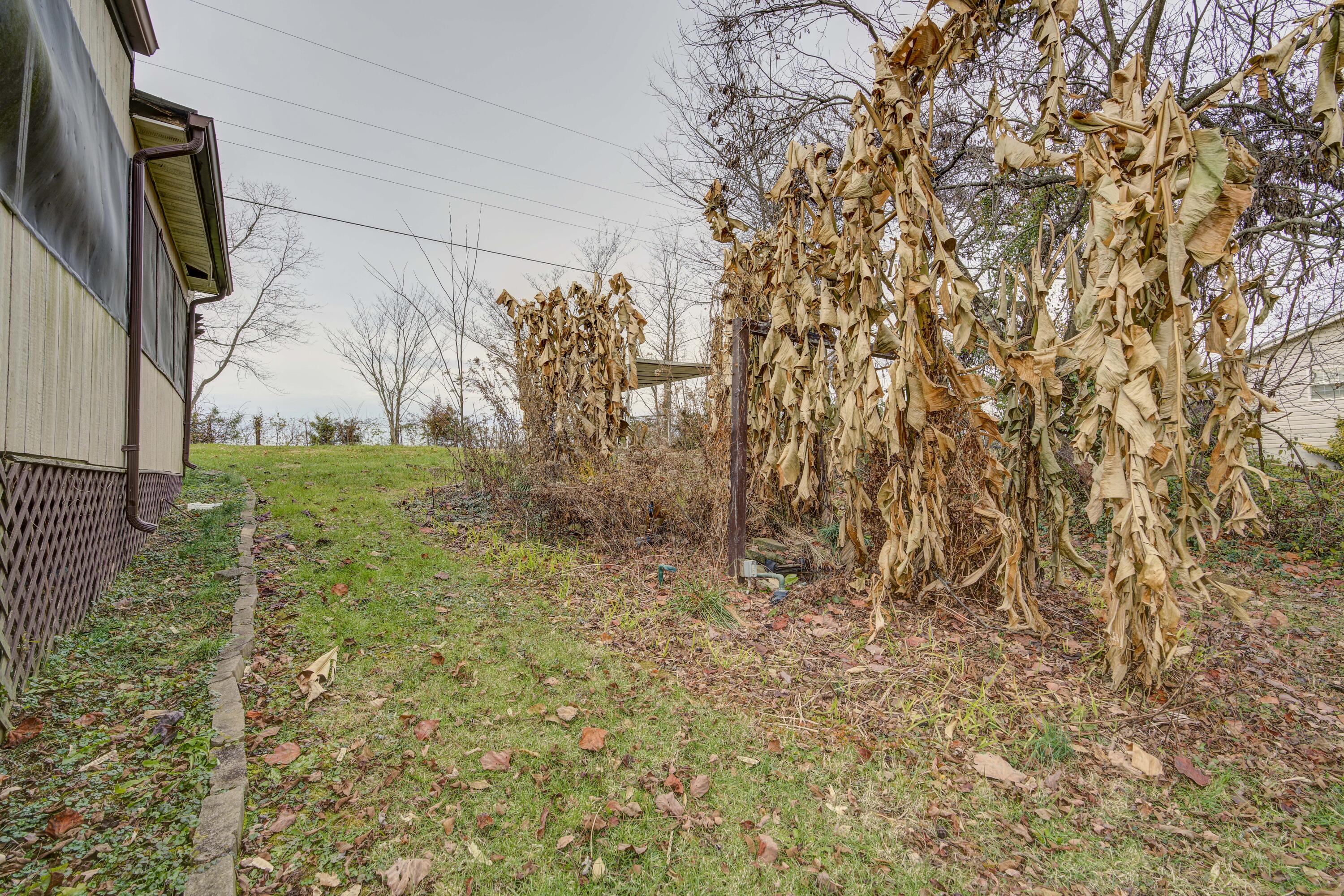 1209 Ben Gamble Road Jonesborough, TN 37659 - Photo 29 of 42 BGRD--32