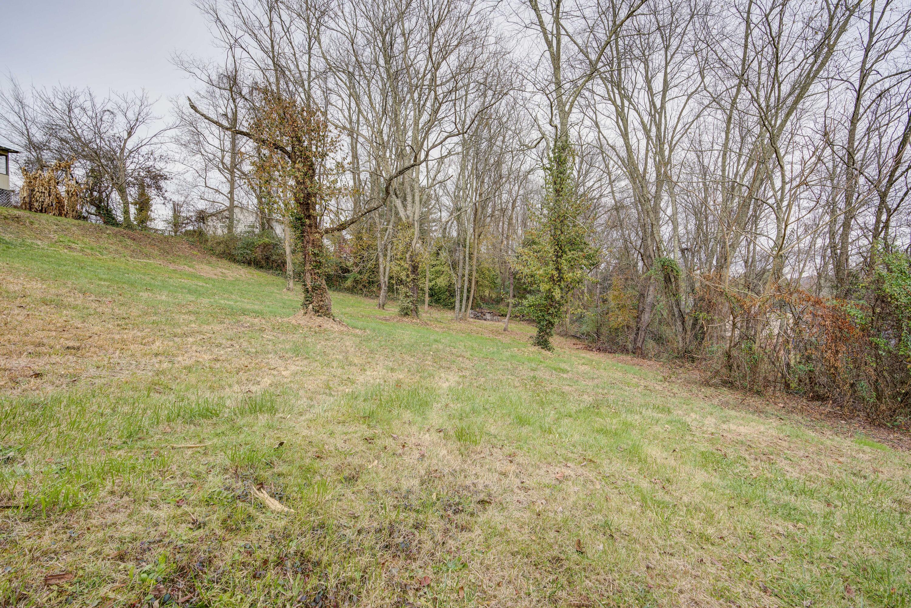 1209 Ben Gamble Road Jonesborough, TN 37659 - Photo 39 of 42 BGRD--30