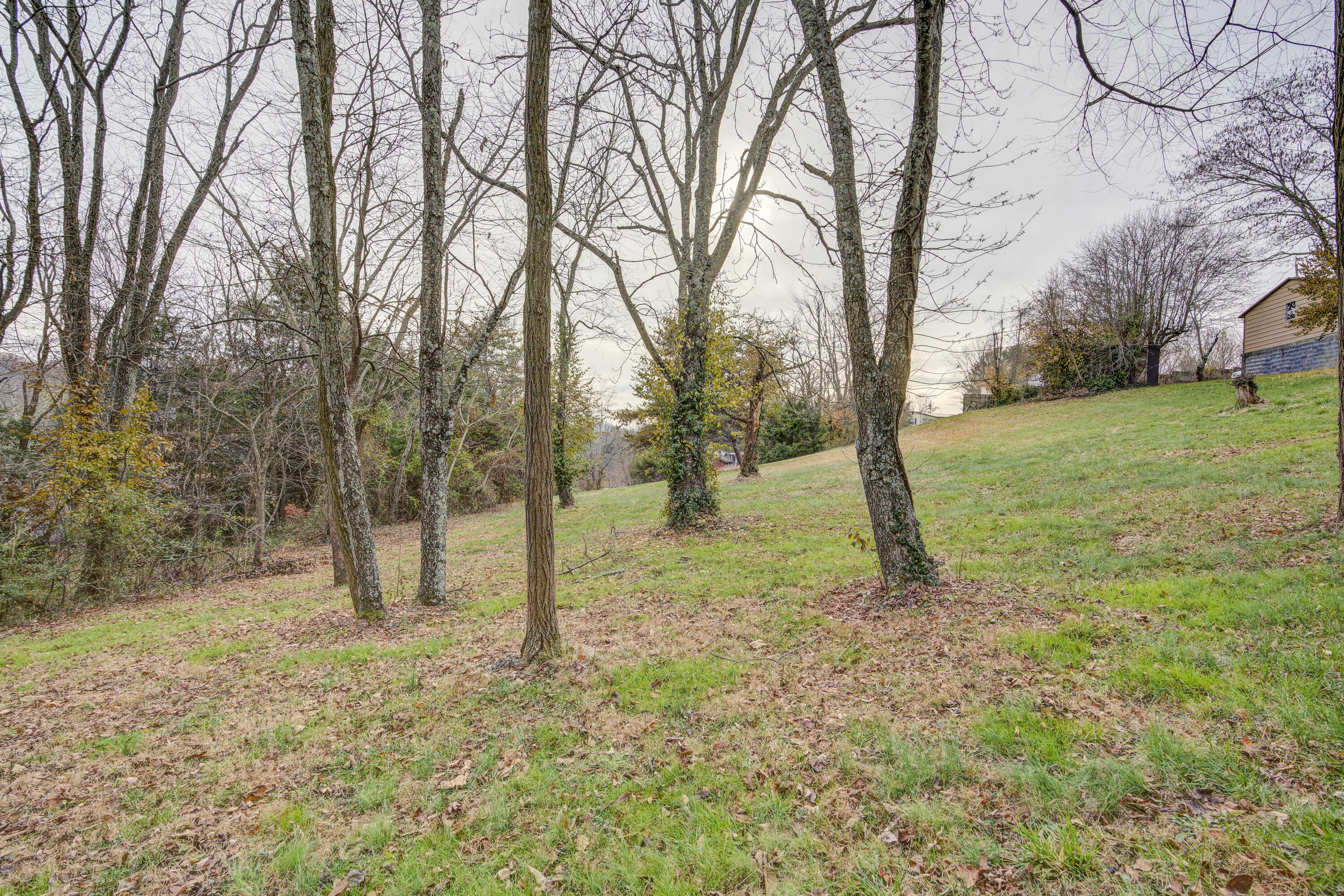 1209 Ben Gamble Road Jonesborough, TN 37659 - Photo 40 of 42 BGRD--31