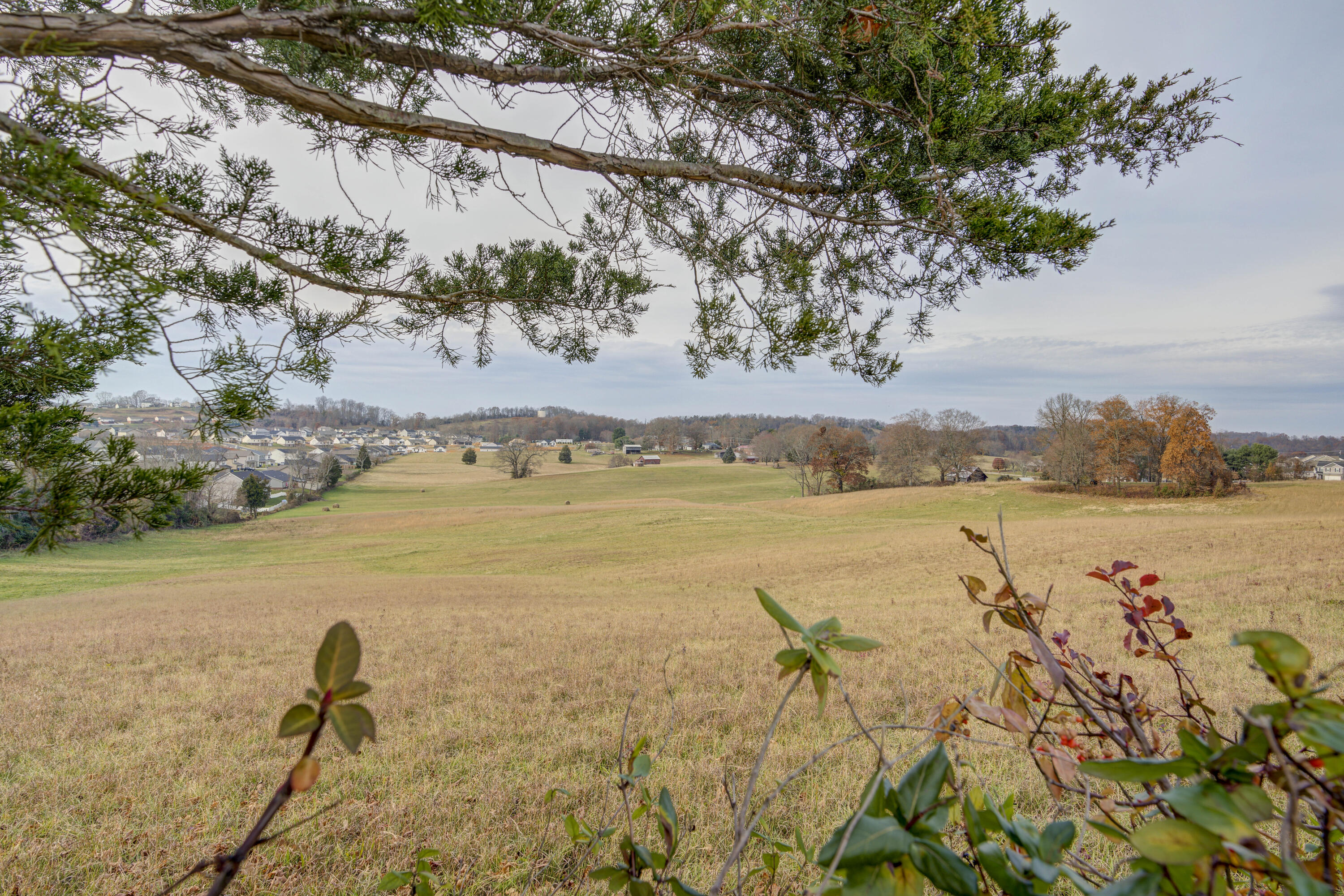 1209 Ben Gamble Road Jonesborough, TN 37659 - Photo 41 of 42 BGRD--42