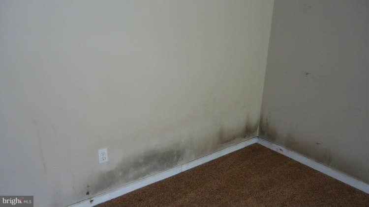 396 Leppo Road Westminster, MD 21158 - Photo 12 of 17 Interior (General)