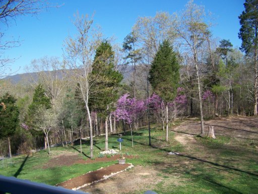 565 Bethlehem Road La Follette, TN 37766 - Photo 33 of 36 Additional Photo