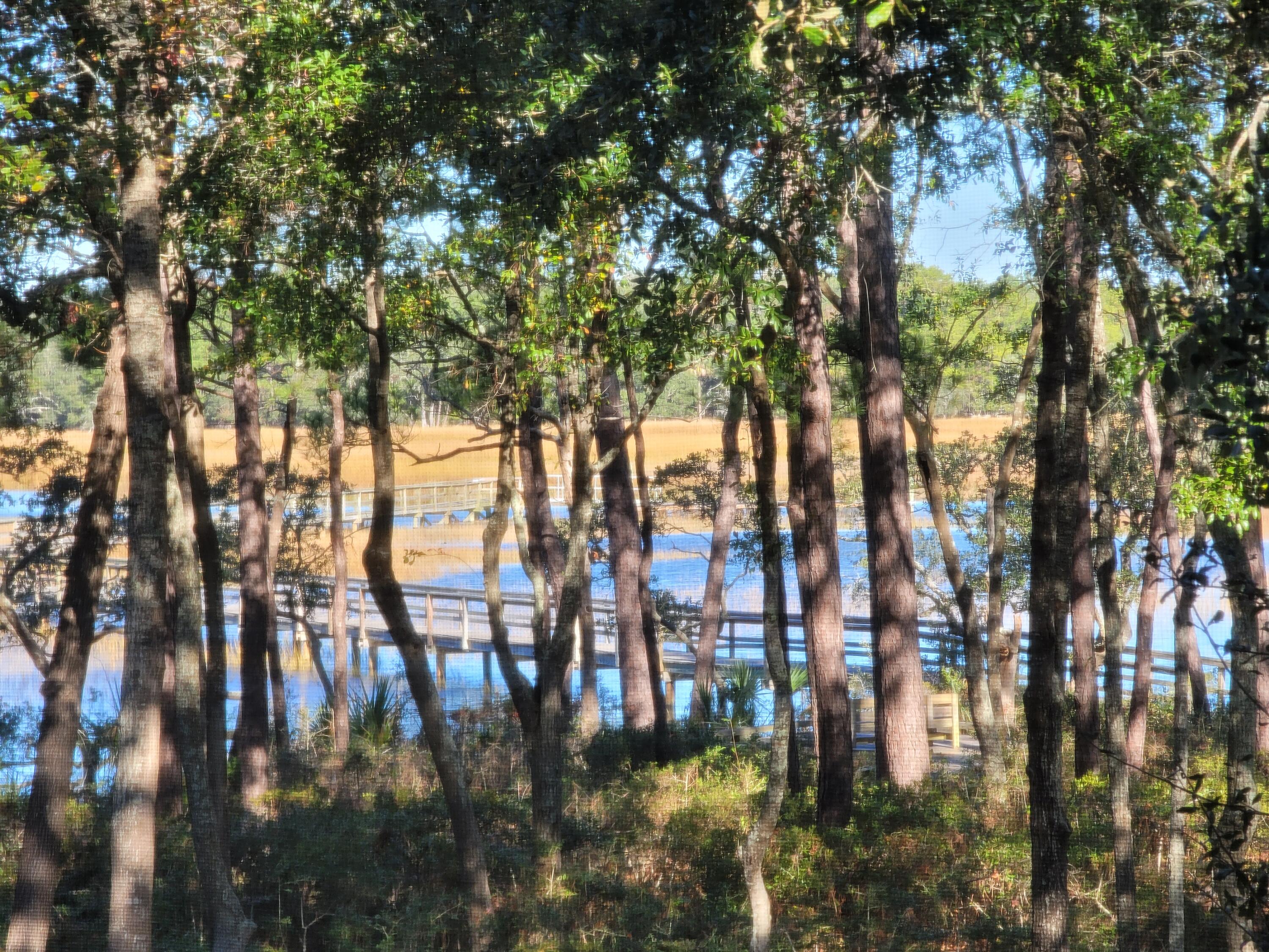 201 Slipper Shell Court Mount Pleasant, SC 29464 - Photo 22 of 45 20231215_103129