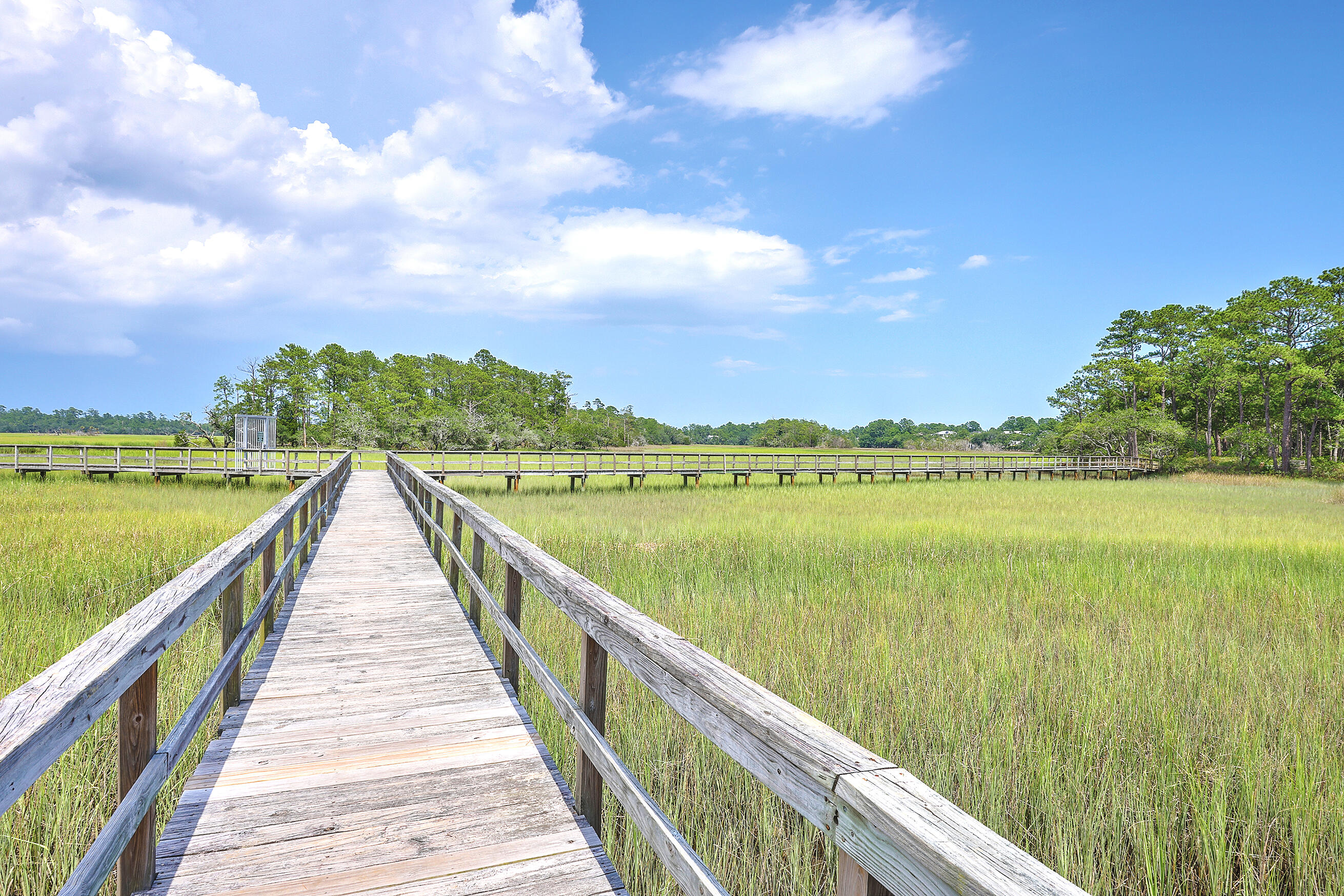 201 Slipper Shell Court Mount Pleasant, SC 29464 - Photo 37 of 45 ZYN_8308_09_10_11_12_13_14