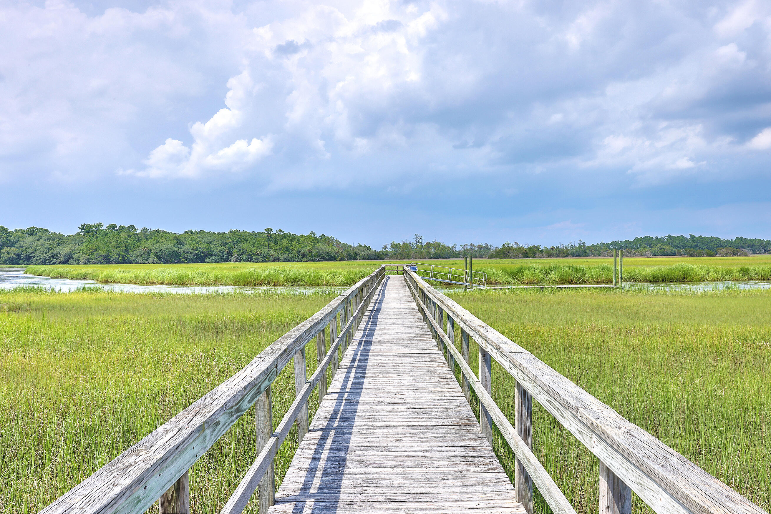 201 Slipper Shell Court Mount Pleasant, SC 29464 - Photo 38 of 45 ZYN_8329_30_31_32_33_34_35
