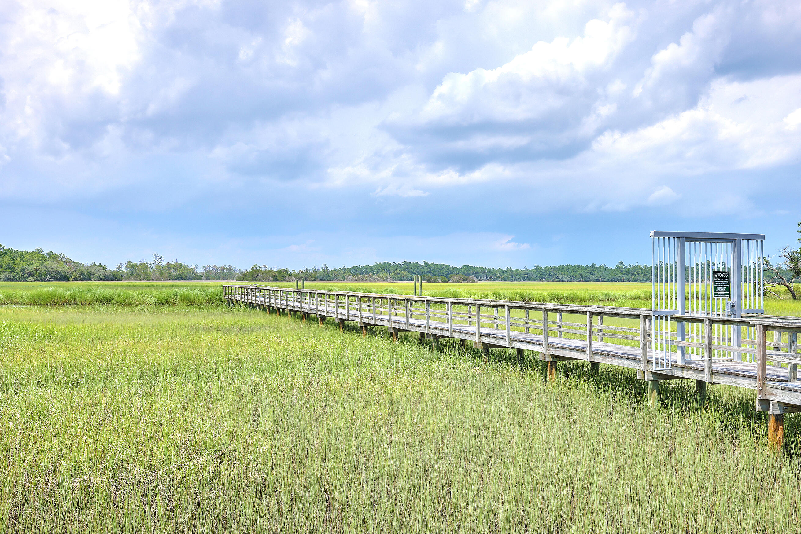 201 Slipper Shell Court Mount Pleasant, SC 29464 - Photo 39 of 45 ZYN_8315_16_17_18_19_20_21