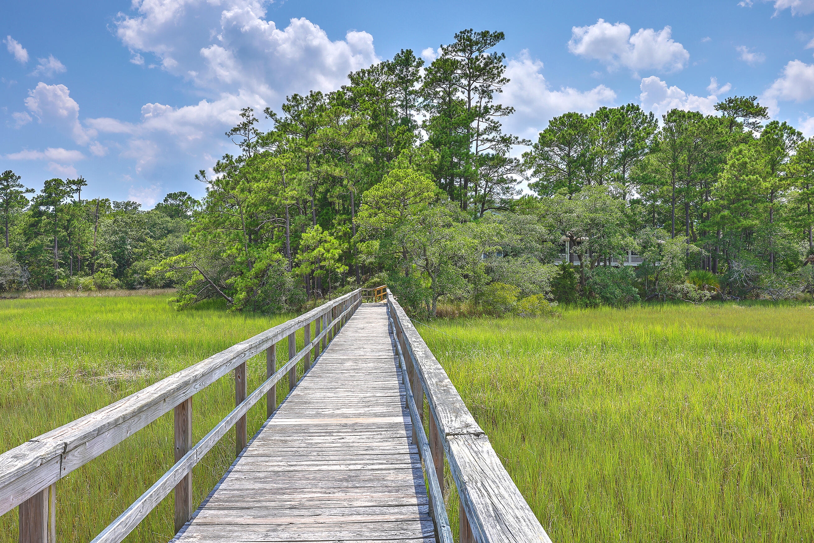 201 Slipper Shell Court Mount Pleasant, SC 29464 - Photo 40 of 45 ZYN_8336_37_38_39_40_41_42