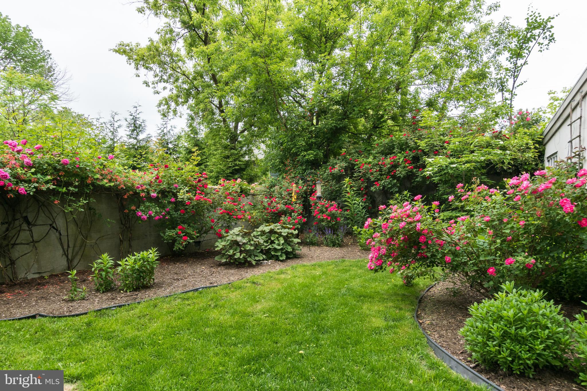 9 Lytle Street Princeton, NJ 08542 - Photo 34 of 39