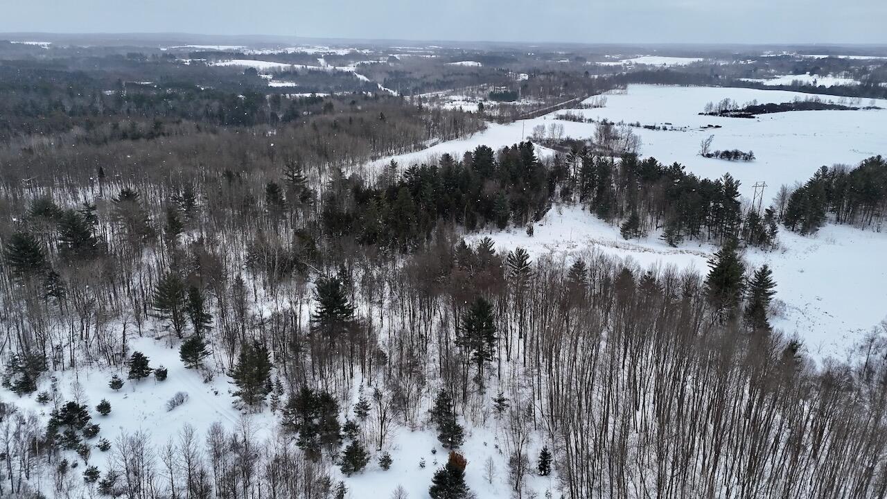 17 17 Mile Road Leroy, MI 49655 - Photo 14 of 62 010