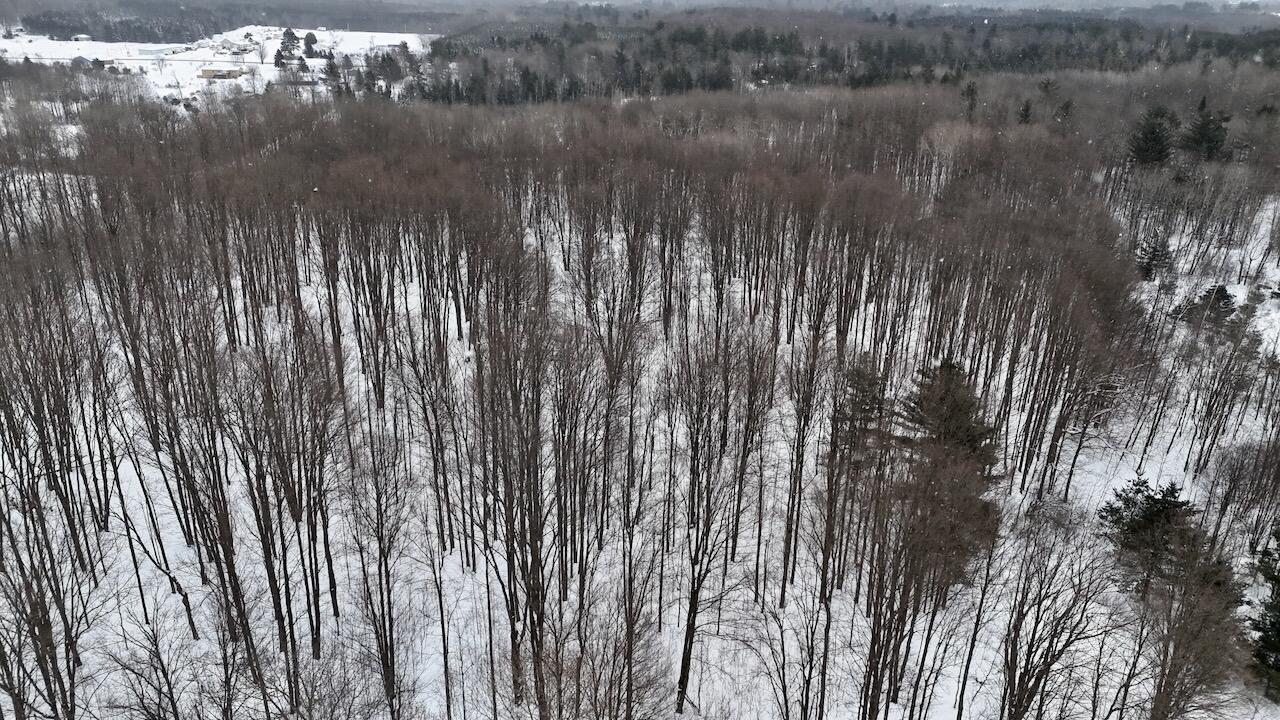 17 17 Mile Road Leroy, MI 49655 - Photo 15 of 62 011