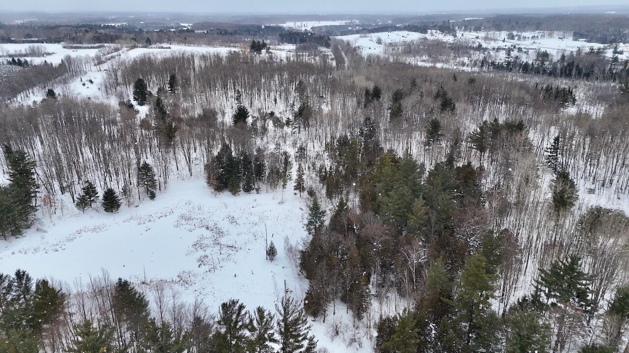 17 17 Mile Road Leroy, MI 49655 - Photo 17 of 62 013
