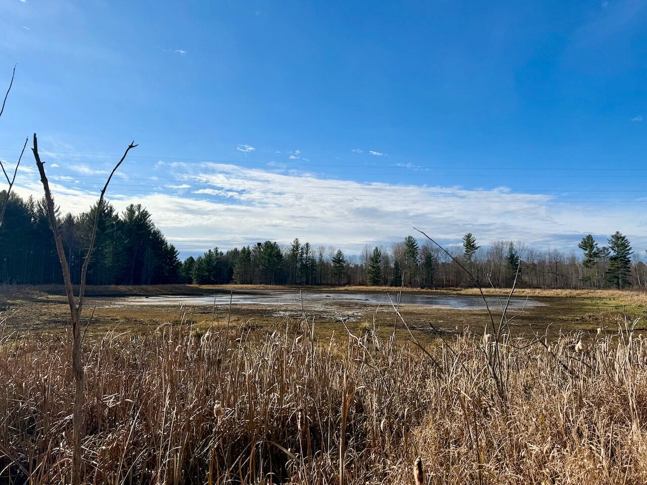 17 17 Mile Road Leroy, MI 49655 - Photo 19 of 62 015