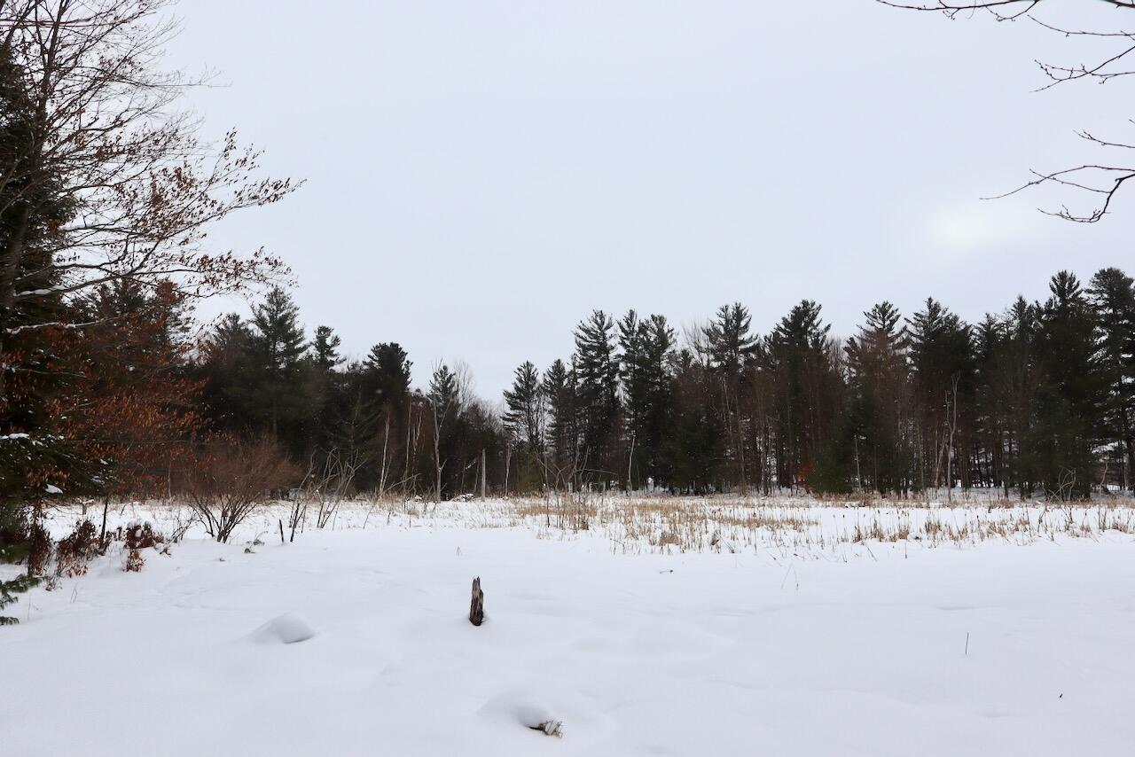 17 17 Mile Road Leroy, MI 49655 - Photo 20 of 62 016